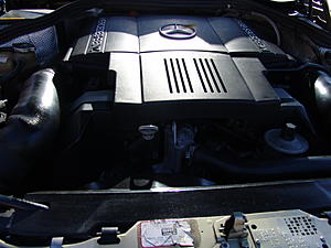 W124 E-Class Picture Thread-dsc02291.jpg