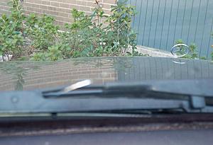 Windshield-100_0064.jpg