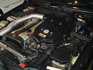 dual duct airbox, which cars and years ?-amg300te34b11.jpg