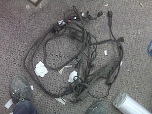 FS: 124 440 6532 wiring harness x 2-img00275.jpg
