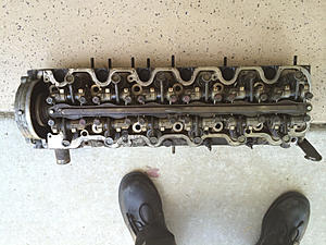 M103-image-4284066922.jpg