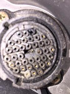 m119 - 38 pin diagnostic connector Issue-unnamed.jpg