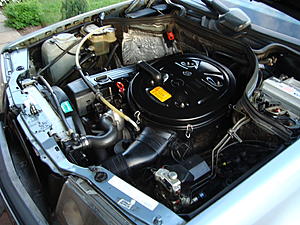 So where'd my fuel pump and filter go?-dsc02542.jpg