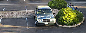 W124 E-Class Picture Thread-img_7895.jpg