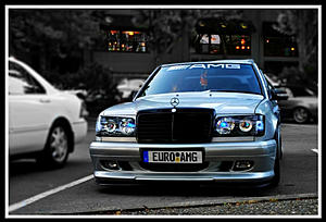 W124 E-Class Picture Thread-dsc_0154-1.jpg