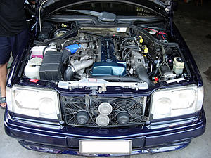 W124 E-Class Picture Thread-dscn4252.jpg