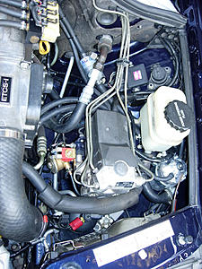 W124 E-Class Picture Thread-dscn4261.jpg