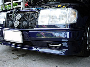 W124 E-Class Picture Thread-dscn4256.jpg