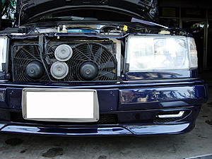 W124 E-Class Picture Thread-dscn4254.jpg
