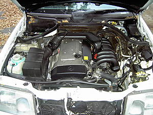 W124 E-Class Picture Thread-pict0962.jpg