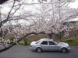 W124 E-Class Picture Thread-p41.jpg