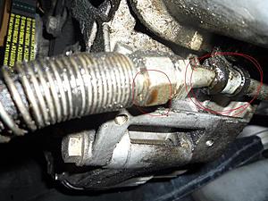 oil and coolant leak with PICS-p1020811.jpg