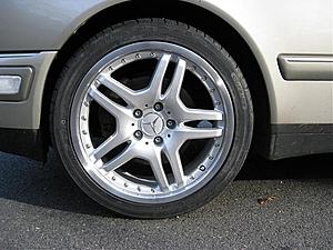 New Shoes on the whip-img_0005.jpg