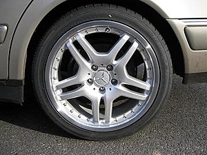 New Shoes on the whip-img_0006.jpg