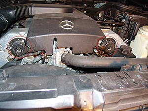 Camshaft Adjuster Magnet oil leak-dsc00308-1_resize.jpg