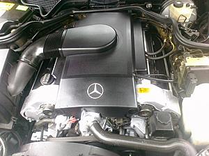 How to wash a dirty mercedes engine without damaging the electronics-pre_2010-08-25-163641.jpg