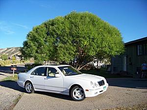***Post Pics Of Your W210 E-Class!!!***-100_2494a.jpg