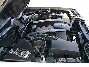 Missing engine compartment decal-e320-missing-engine-decal-picture-2.jpg