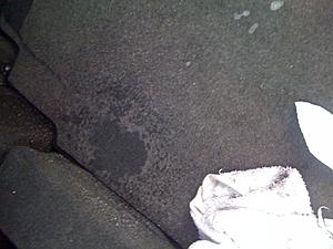 Trunk Leak, but not the trunk gasket?-photo.jpg