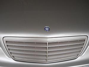 Repaint grill-dscn0964.jpg