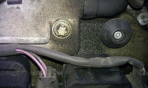 Oil leak help-image.jpg