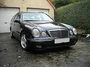 Just Bought This-dscn3074.jpg