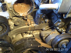 M112 Engine E280 V6 Oil in cooling system woes-ptdc0061.jpg