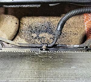 replacing radiator, can't remove tranny coolant line bolt-rad1.jpg