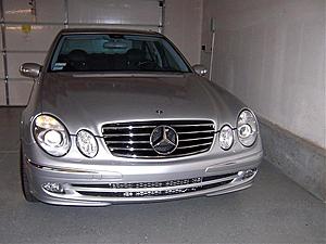 Taking a Poll on Grilles-100_0927.jpg