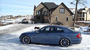 New E Class (W211) Picture Thread-cars-dogs-090.jpg