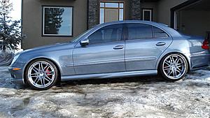 New E Class (W211) Picture Thread-cars-dogs-142.jpg