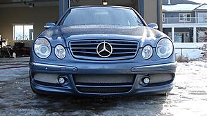 New E Class (W211) Picture Thread-cars-dogs-135.jpg