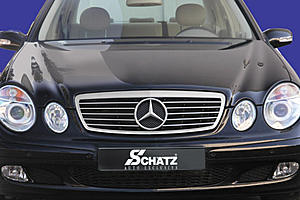 Are there any *good looking* custom grilles for the W211?-schatz_grill.jpg