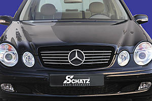 Are there any *good looking* custom grilles for the W211?-schatz_grill-2.jpg