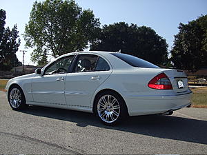 To AMG Badge or not to AMG Badge-350-rear.jpg