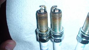 Holy!!! Look at my spark plugs-dsc01851.jpg