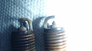 Holy!!! Look at my spark plugs-dsc01849.jpg