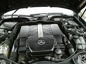 HELP.....IS THIS A FAKE &quot;E55 AMG&quot;-engine-bay.jpg