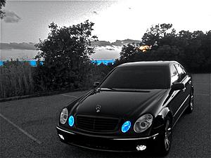 New Pics of my E500-img_0556_2.jpg