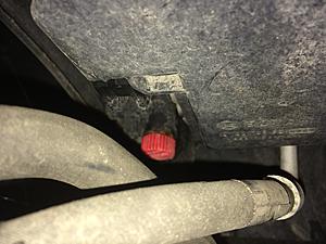 Radiator Coolant Capacity-img_0330.jpg