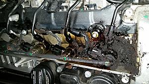 Oil leak on top of engine E320 cdi-20151108_233111.jpg