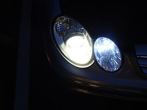 How can I tell if I have regular halogen or Bi-Xenon Headlights?-dsc00270.jpg