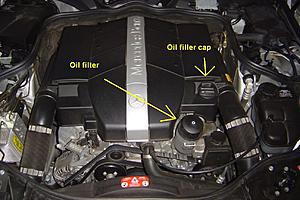 W211 DIY oil change-e320oilfilterandfillercap.jpg