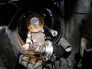 How to change park bulb-wdx7his.jpg