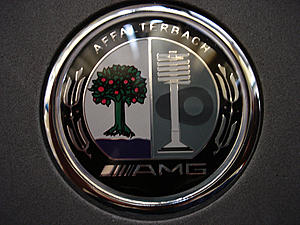 2011 e550 4Matic on 20 inch COR staggered wheels-hood_emblem.jpg