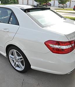 My 3 week old E350-r0193.jpg