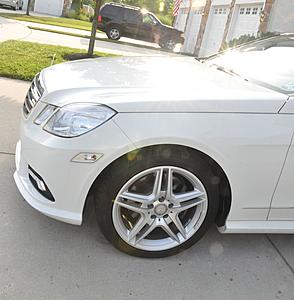 My 3 week old E350-r0194.jpg