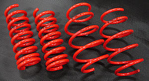 Euroteck Motorsports NEW Lowering Springs for E350-spring-picssmlr.jpg