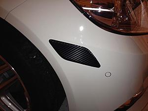 Carbon Fiber side markers-photo.jpg