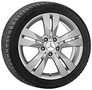 Designo Wheel-10623_ed05bdd5483e.jpg